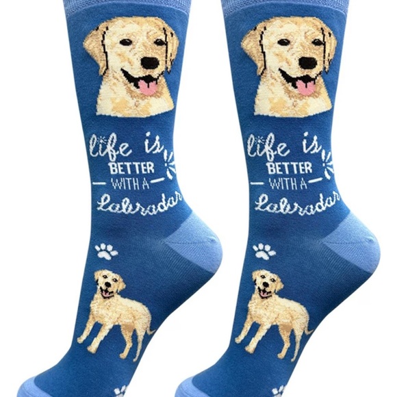 Life is Better with a Labrador Socks in Blue - Picture 4 of 4